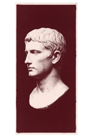 Marble classical bust in profile, burgundy tones